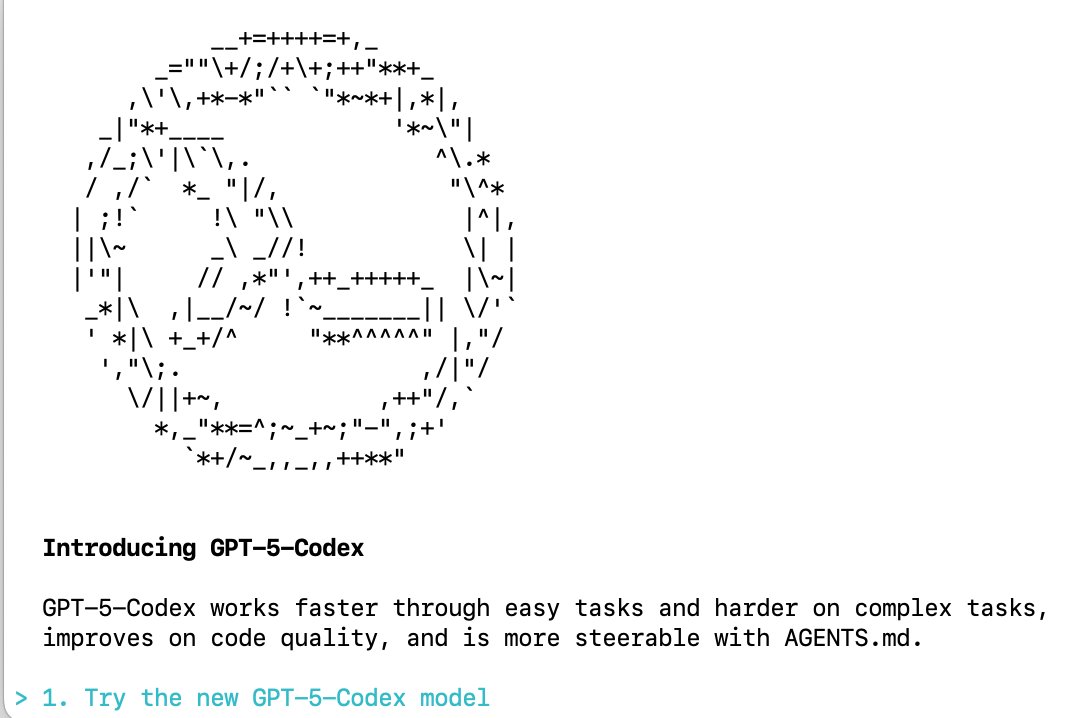 Codex CLI 更新示例